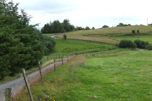 Pasture and Lane west of Penuwch, ceredigion