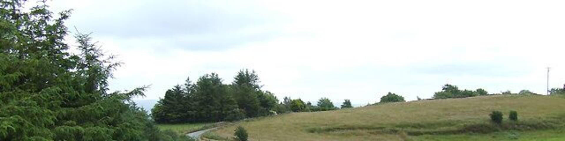 A rural landscape with a winding road, green fields, and a fence.