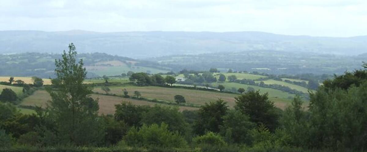 A rural landscape with rolling hills, fields, and scattered trees.