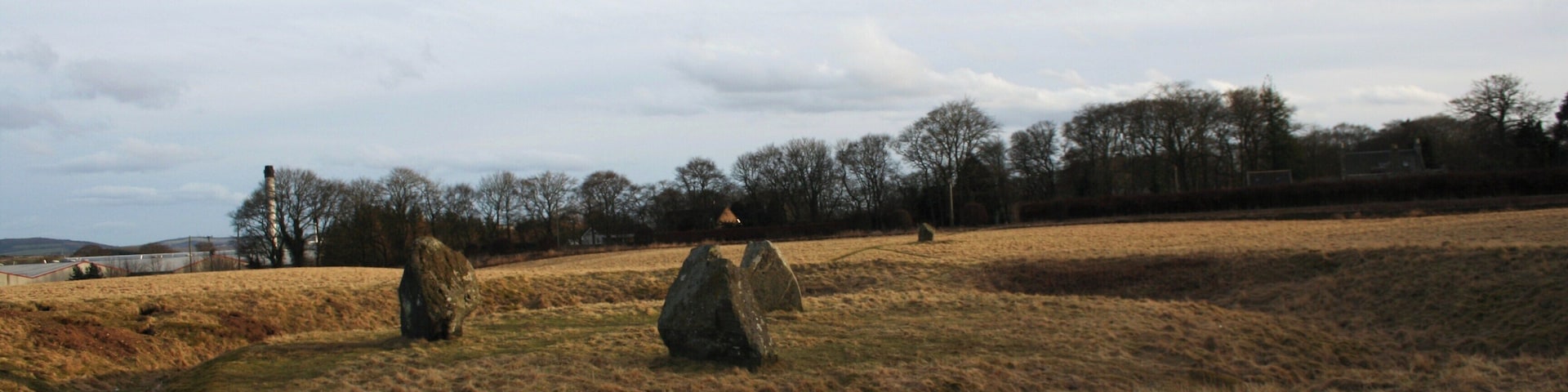 Broomend of Crichie Stones Three stones of the henge closer and the farther away marking an avenue approach.
