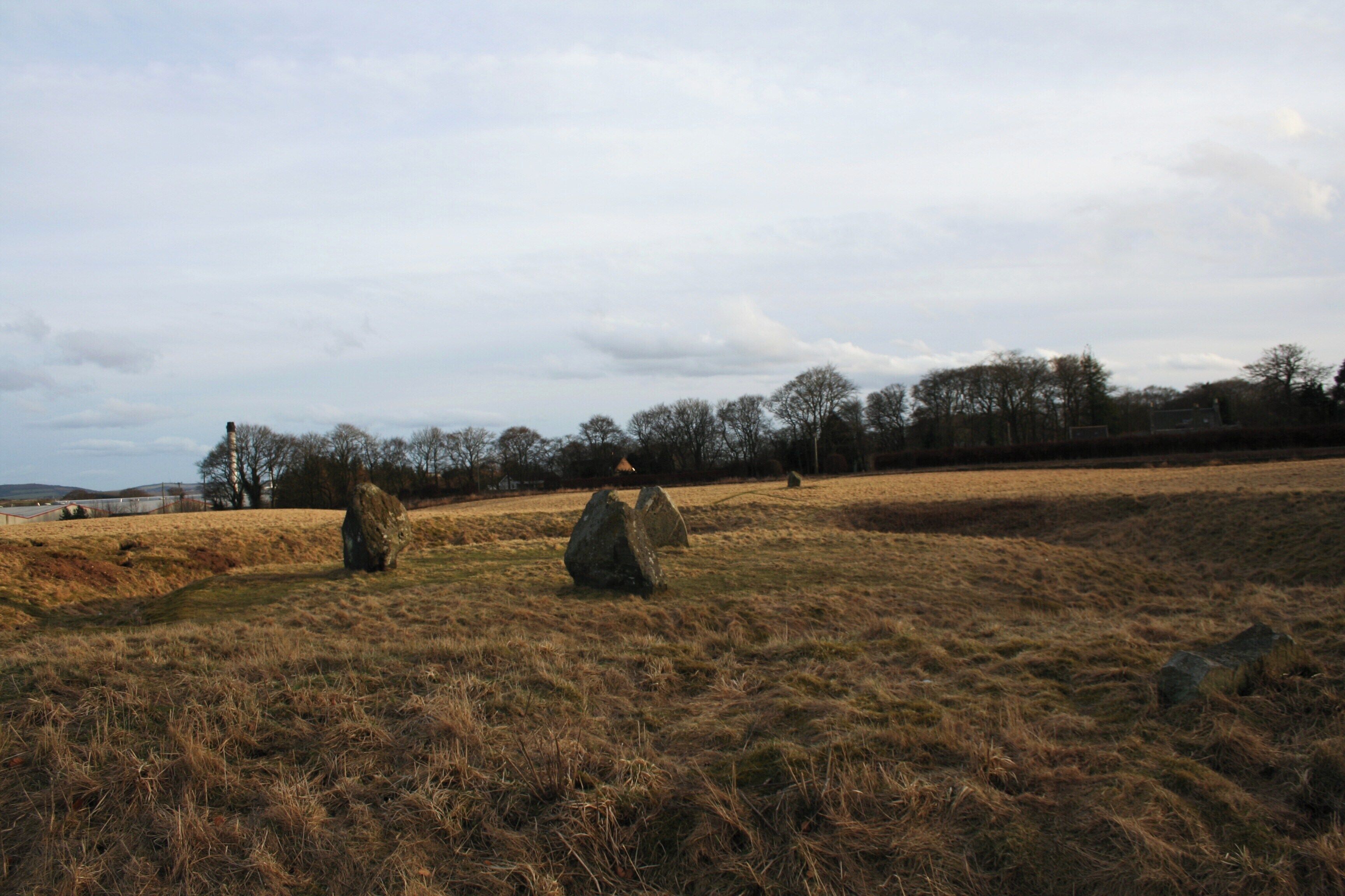 A field with large standing stones and a distant view of trees and a body of water.
