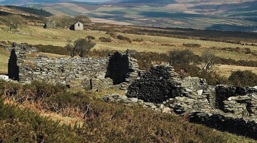 Ruins of "Carnagrie." Isle of Man. A "tholtan" just east of the Garey crossroads,the edge of the Slieu Whallian plantation can be seen on the left of the frame and beyond that the transmitter mast at the Beary.
