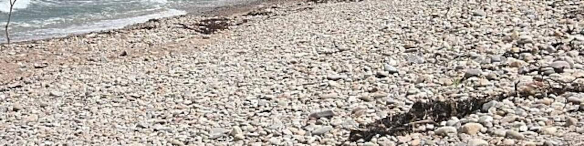 Beach at Gollachy I think the large boulders at right have been placed there to prevent erosion by the sea which might threaten the old ice house.