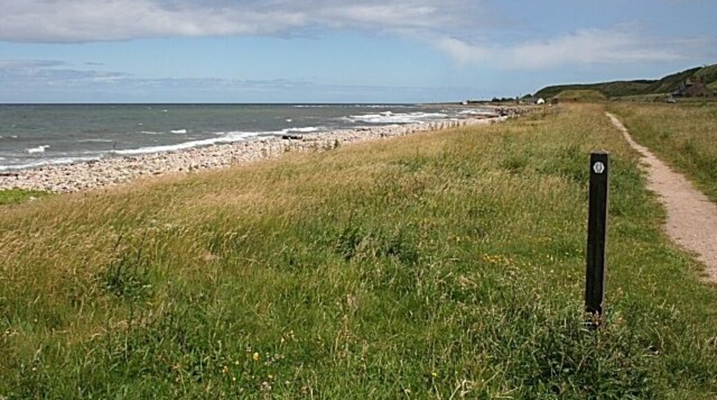 Speyside Way at Gollachy Having left the Spey, the path follows the coast east to Buckie.