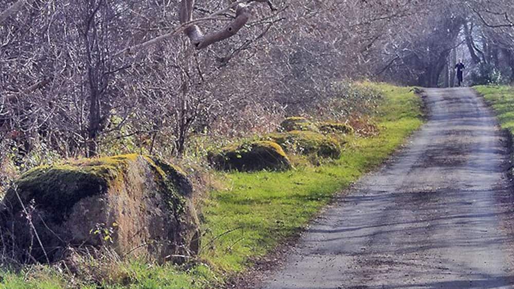 Granite Boulders, St. Marks Probably from Foxdale, brought here by glacial action in the Ice Age. A jogger approaches.