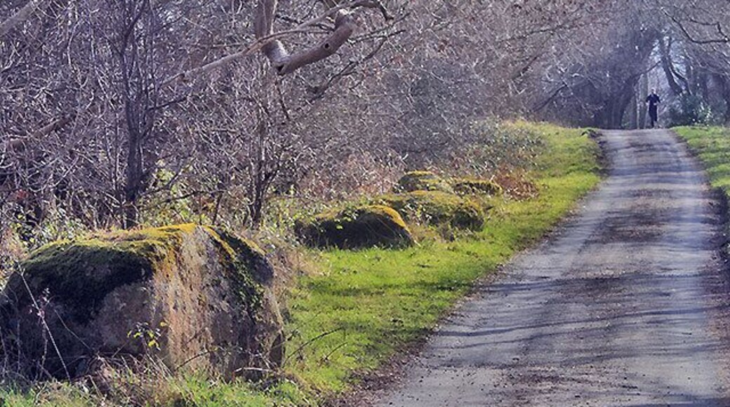 Granite Boulders, St. Marks Probably from Foxdale, brought here by glacial action in the Ice Age. A jogger approaches.