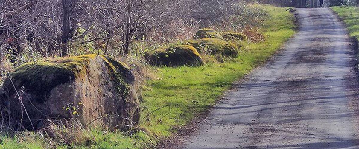 A narrow rural road flanked by trees and large rocks.