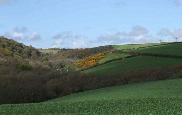Secluded Valley A lovely steep sided valley in farmland between Trequite and Trelil. A line of electricity pylons can just be see over the hill to the north east.
