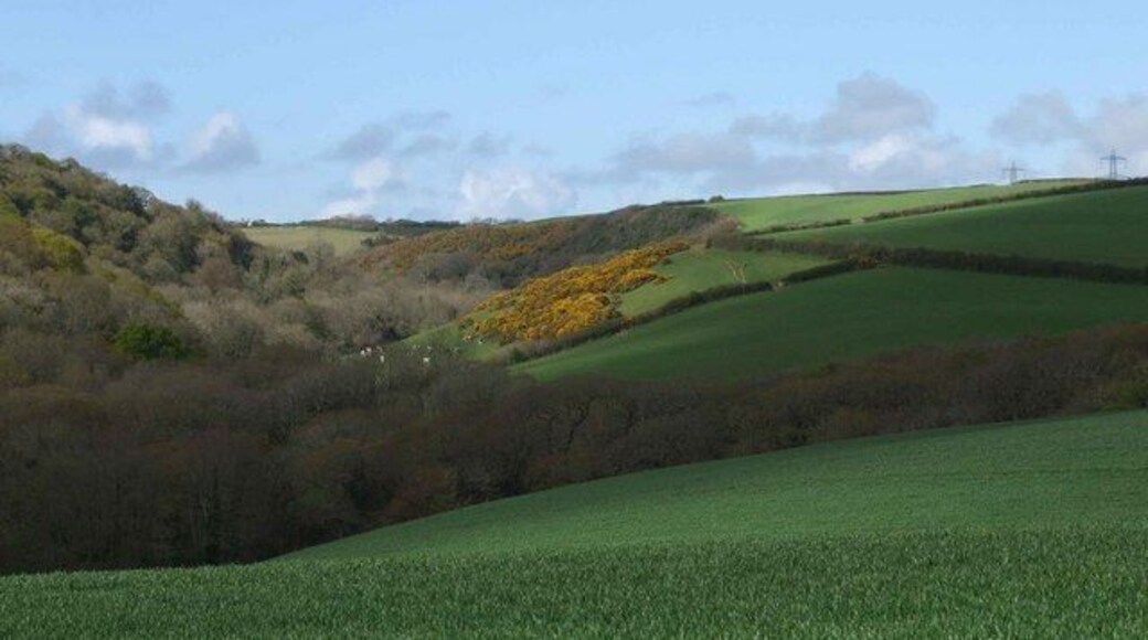 Secluded Valley A lovely steep sided valley in farmland between Trequite and Trelil. A line of electricity pylons can just be see over the hill to the north east.