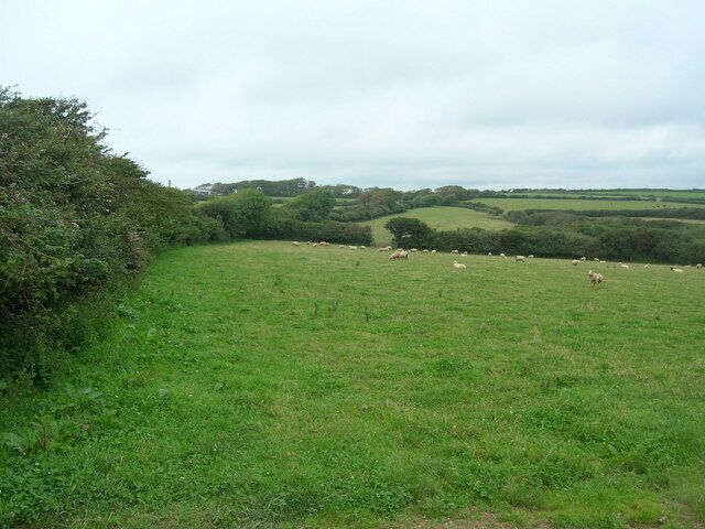 Farmland near Tregeare Rounds The main road runs along on the other side of the hedge here. Hendra Farm is up on the left in distance.