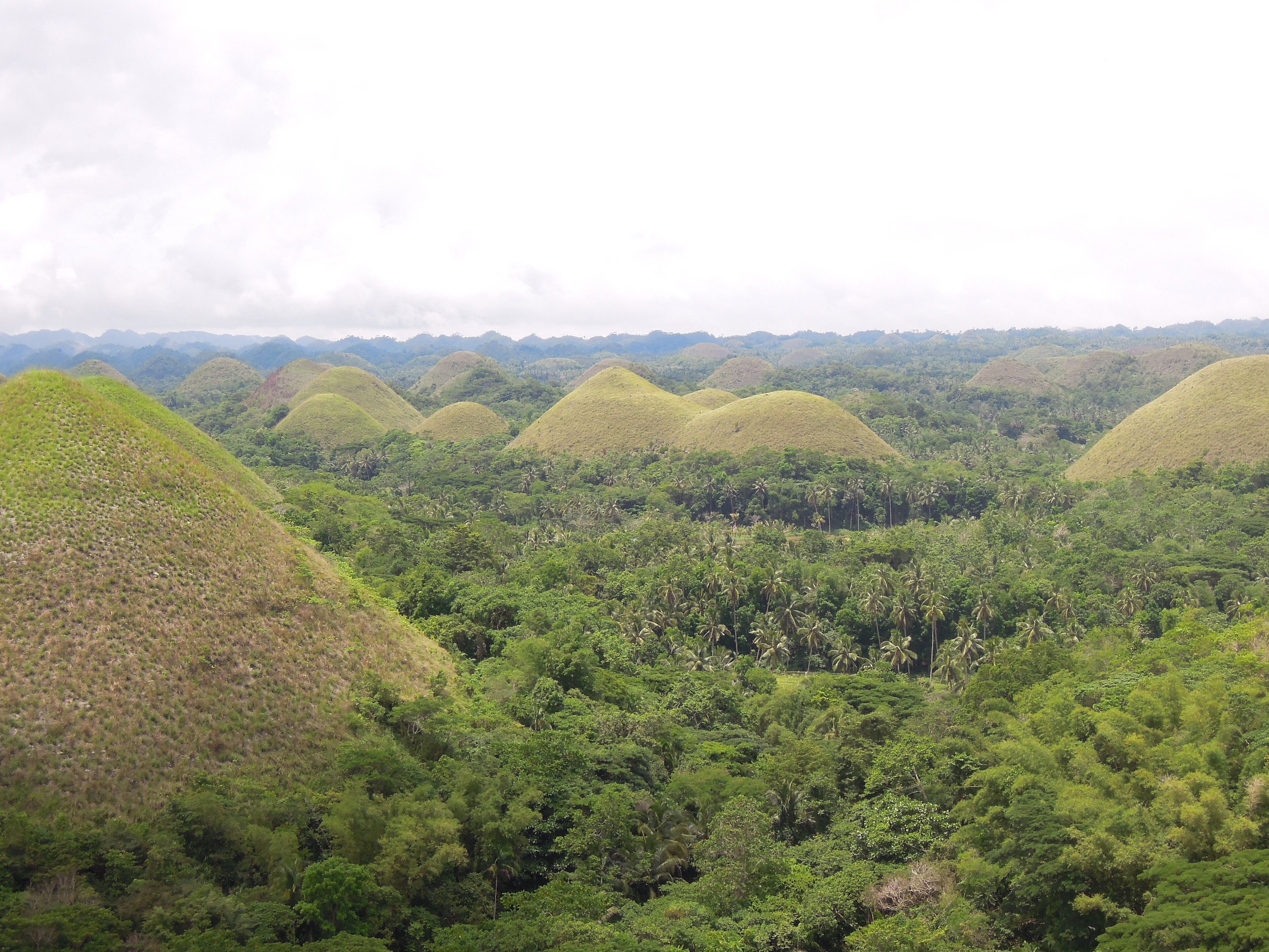 Like Matcha chocolate