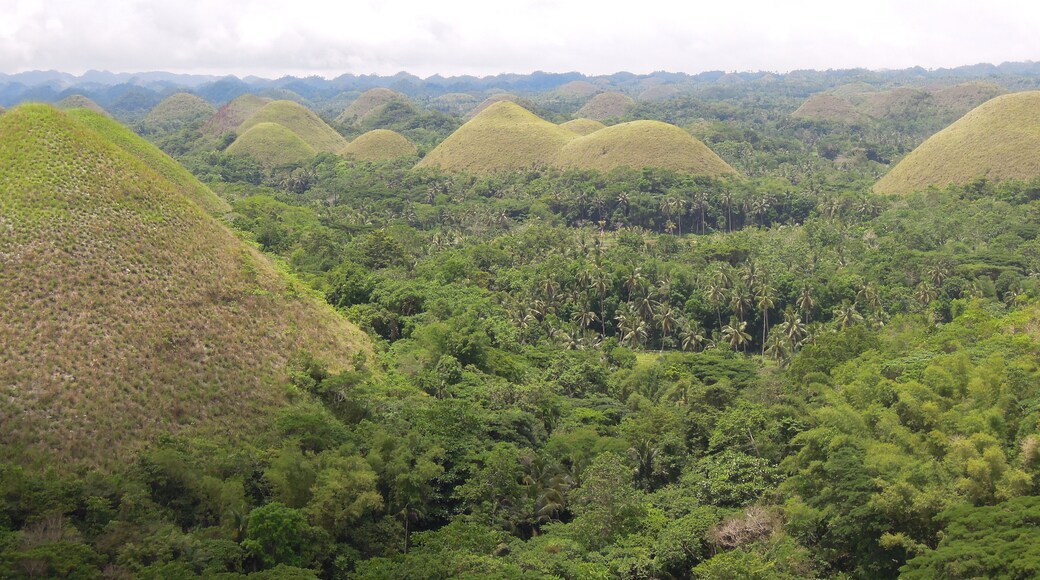 Like Matcha chocolate