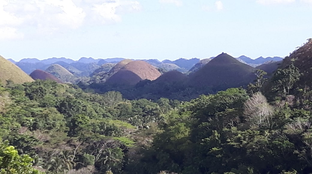 Chocolate Hills Bohol