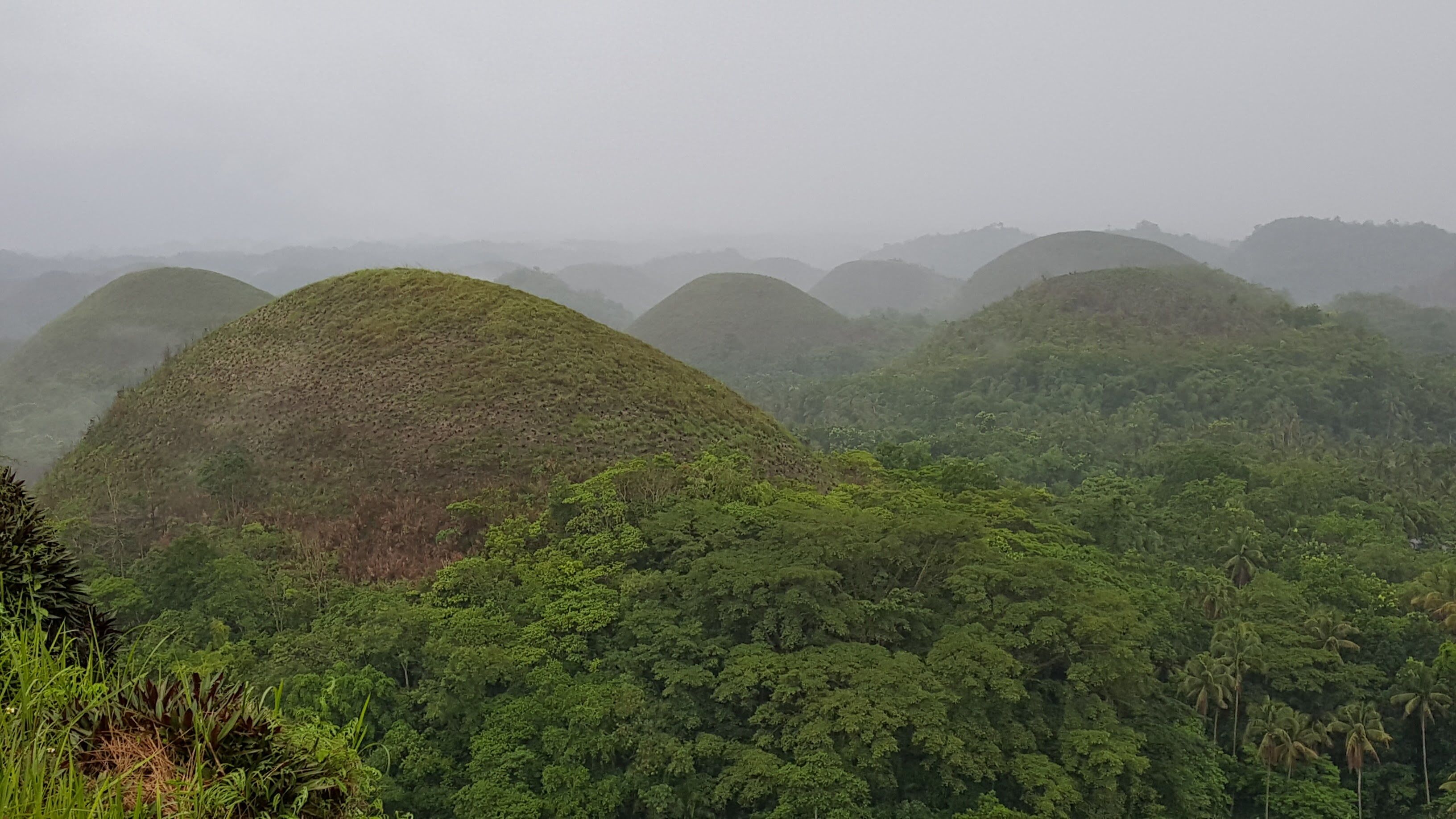 Un paisaje de colinas verdes y exuberantes con densa vegetación.
