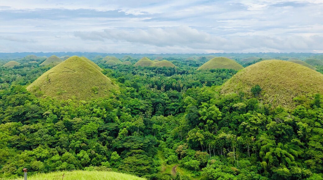 #nature #chocolatehills #bohol #philippines