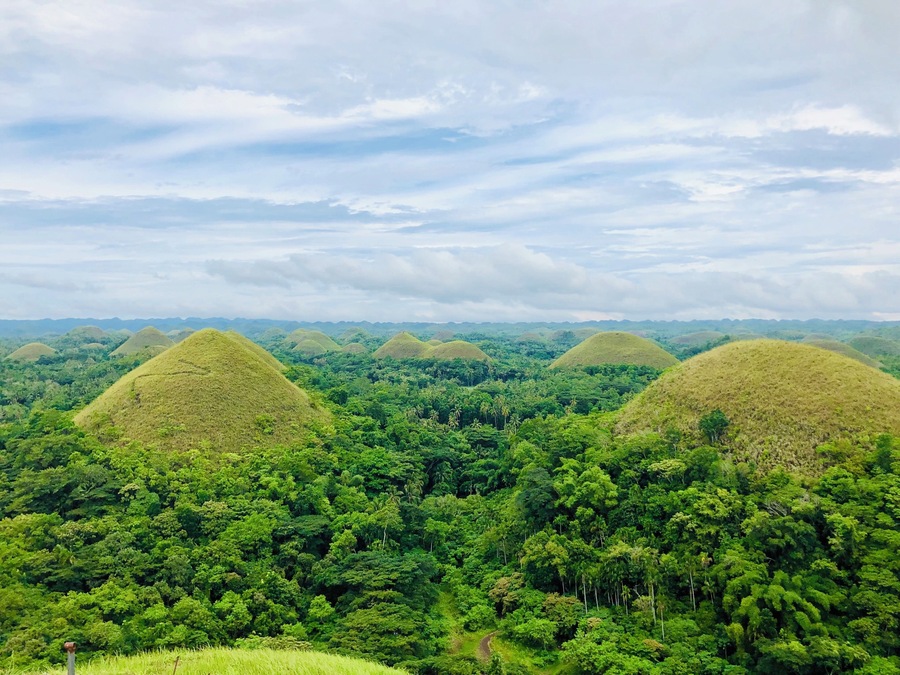 #nature #chocolatehills #bohol #philippines