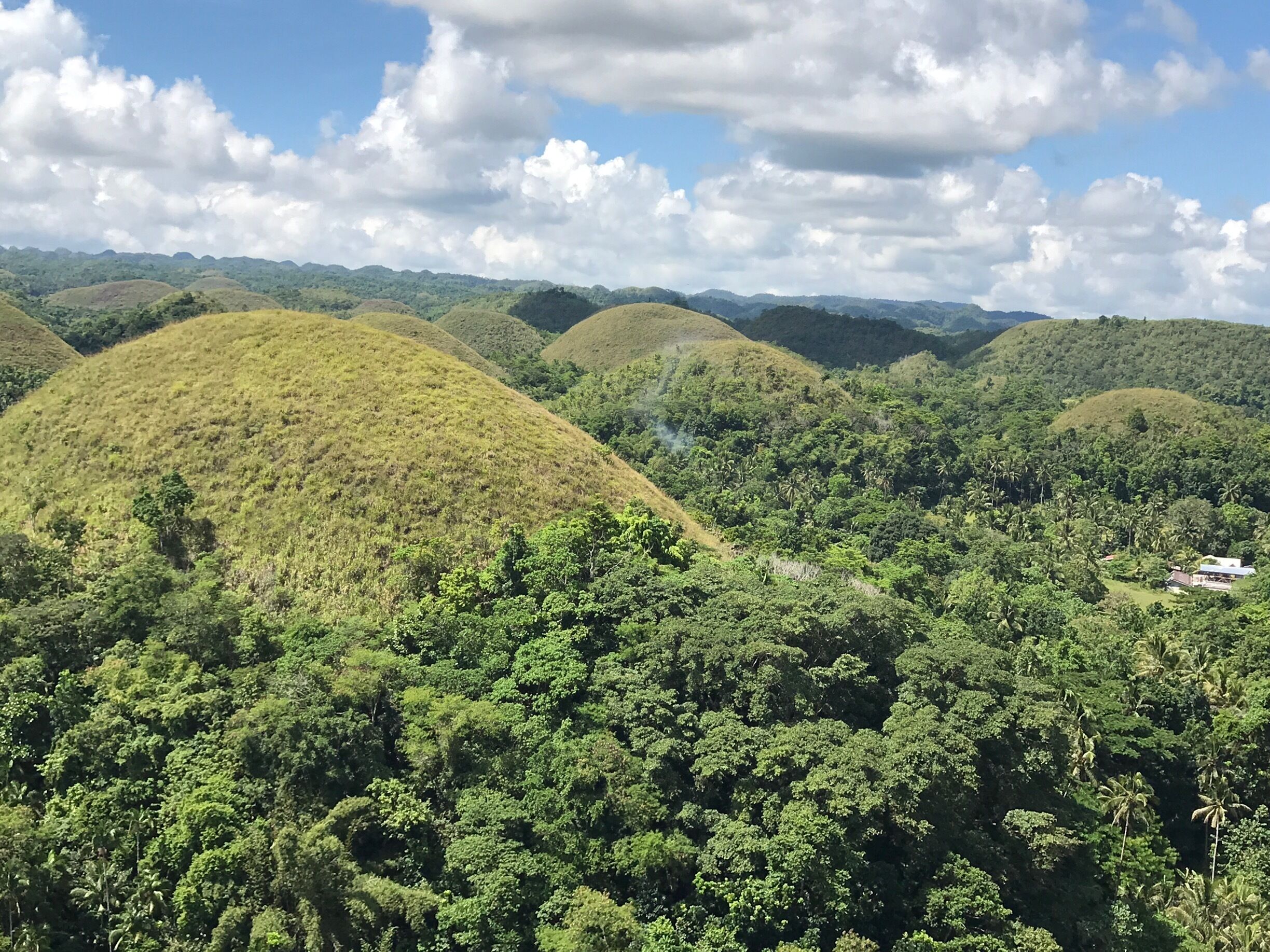 Nature at its best...