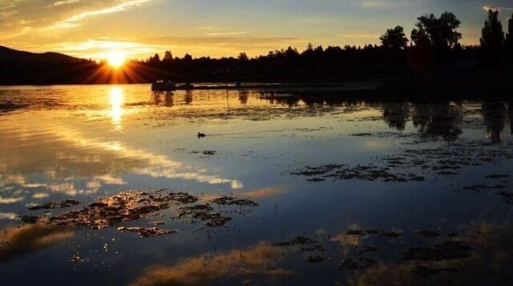 #WeekendGetaway this weekend at Big Bear California. So many things to do, while over here for the summer. Water tubing and water skiing are a must. Other things to do include, a short hike to Castle Rock, which gives you an awesome view of the Lake and City. Also, visit the summit and enjoy some Mountain biking from easy route to difficult. Want other adventurous things to do? Well, they also have zip lining here and a ride on a helicopter to view the city. Enjoy, when you visit here.
#Colorful