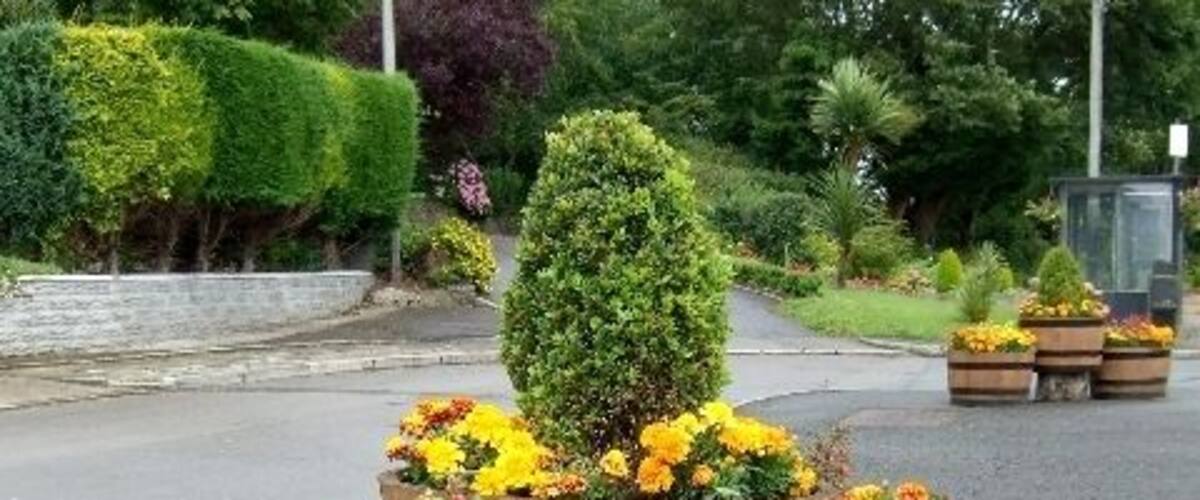 Three wooden barrels filled with colorful flowers and a neatly trimmed bush.