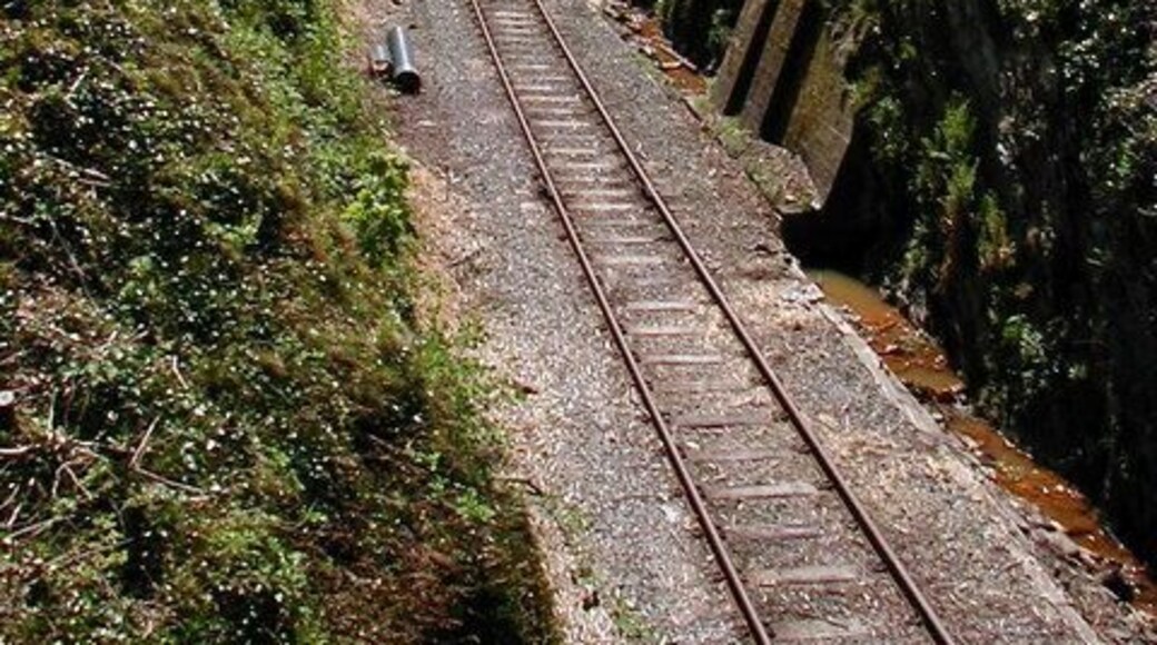 Railway Cutting at the summit of Talerddig bank, near to Talerddig, Powys, Great Britain. At just over 700 feet at the summit, Talerddig has always presented a challenge to railway operators and in steam days most trains required an assisting engine.