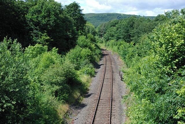 A railway track surrounded by dense green foliage.