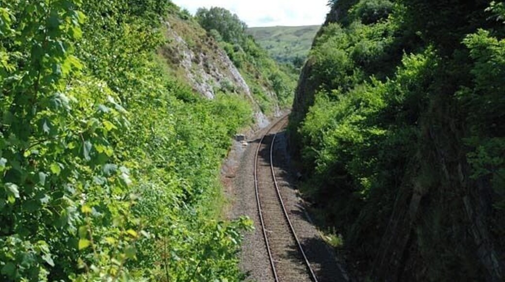 Talerddig cutting. The means by which the Newtown and Machynlleth Railway (which became a constituent of the Cambrian Railways) breached the Cambrian Mountains to head for the coast. Compared with 195516 there's been some extensive regrowth.