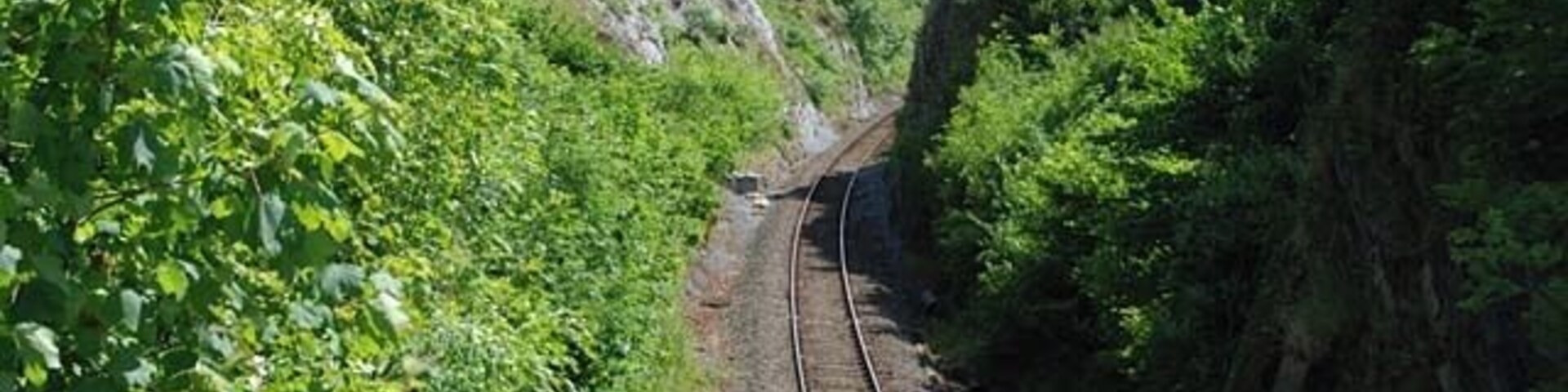 Talerddig cutting. The means by which the Newtown and Machynlleth Railway (which became a constituent of the Cambrian Railways) breached the Cambrian Mountains to head for the coast. Compared with 195516 there's been some extensive regrowth.