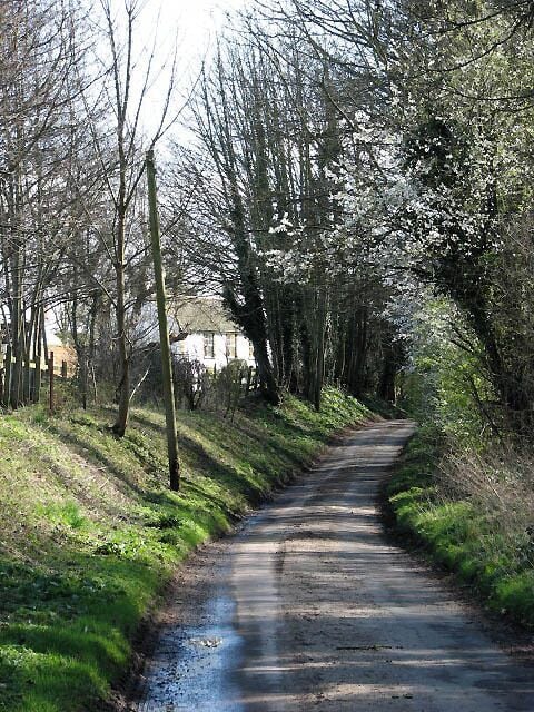 View SE along Pond Road