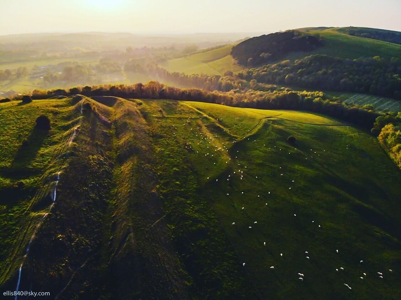Rolling hills, a valley, and scattered sheep.