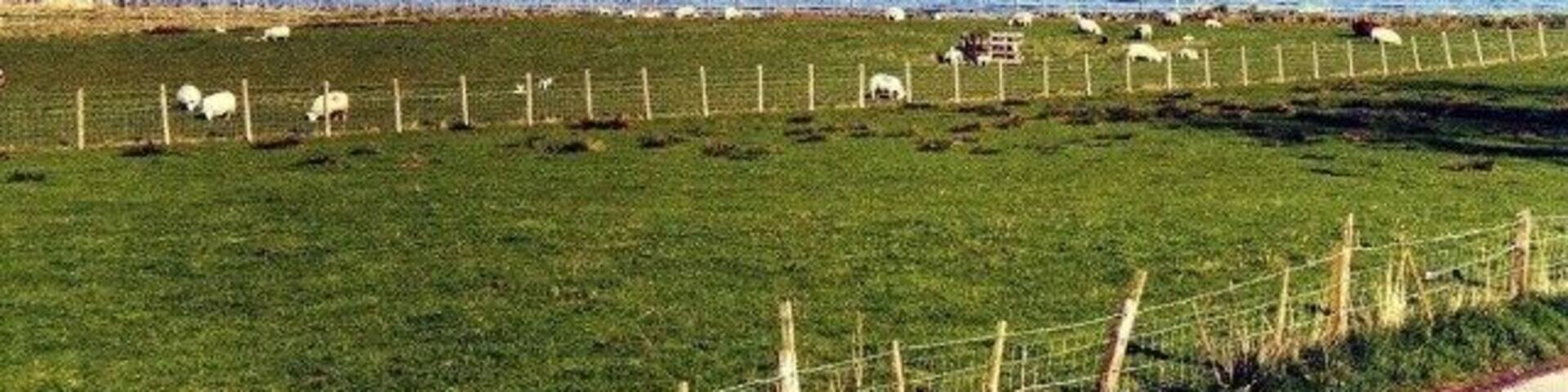 Nigg Bay View of Nigg Bay from Barbaraville