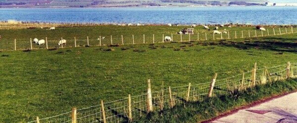 A coastal landscape with a grassy field, a fenced area, and a body of water in the background.