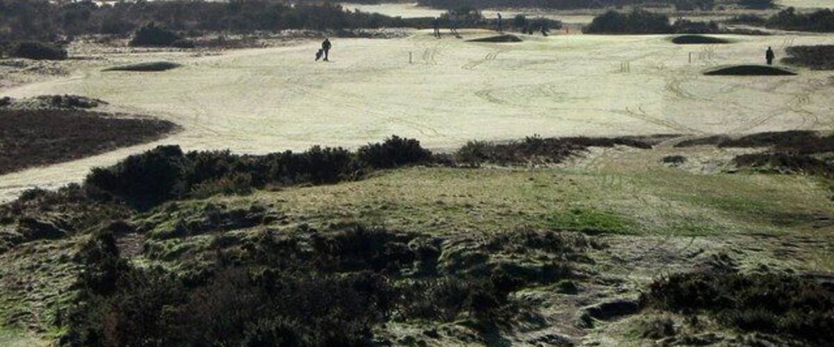 A golf course with multiple holes, a person walking, and sparse vegetation.
