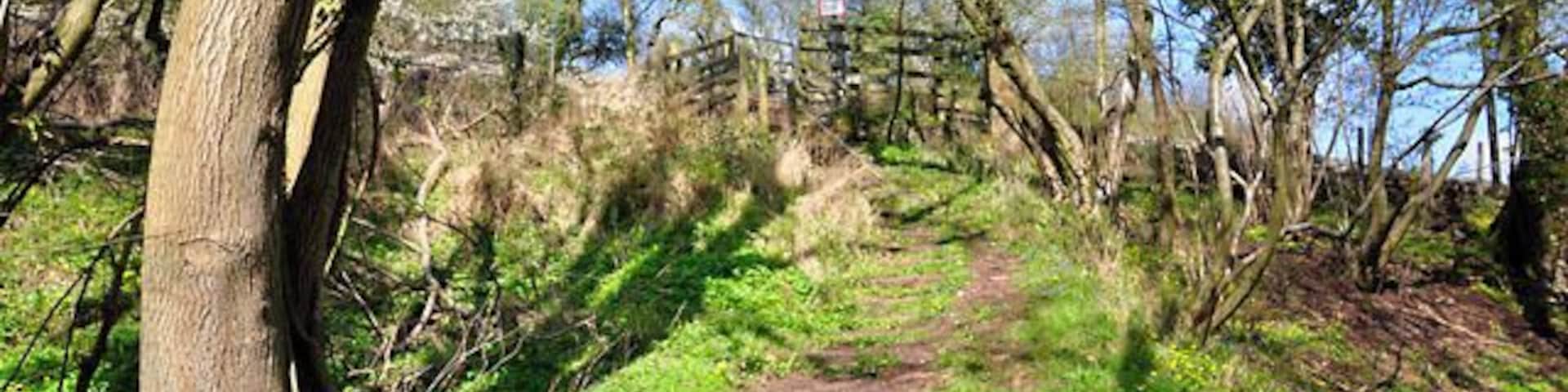Offas Dyke long distance footpath This leads up to the crossing over the railway line.