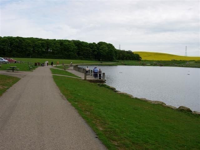 Pond in Herrington Country Park. The main pond in the country park is designated as a boating lake. The jetty shown in the middle of the picture is where model boats are launched. It's also regularly used for feeding the waterfowl.