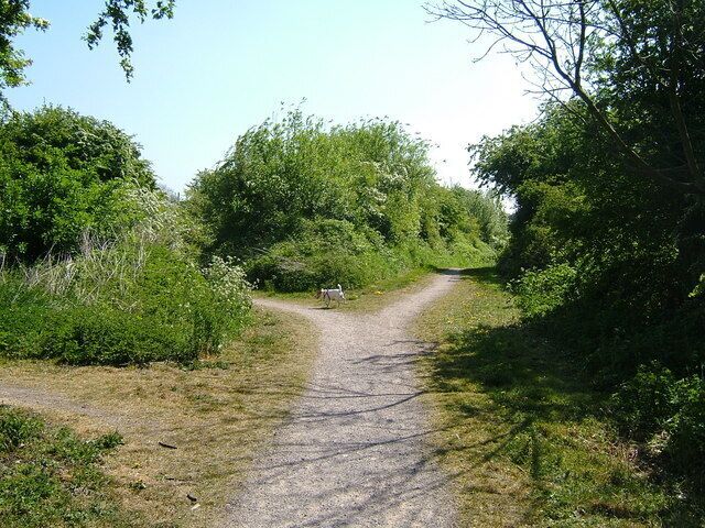 Do the splits Rigsby makes his mind up between the two paths splitting off from the Ashby Woulds Heritage Trail.