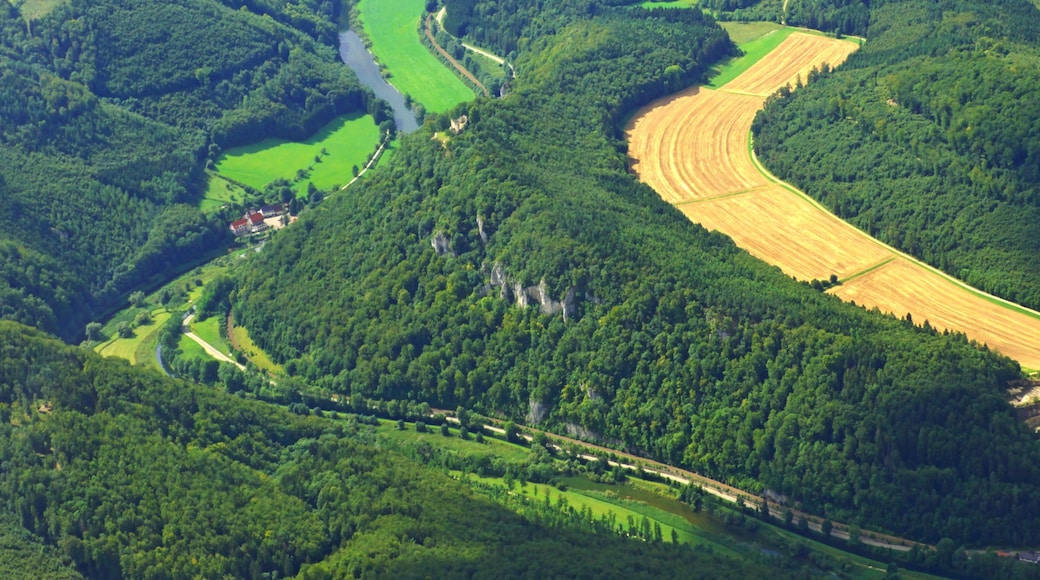 Danube Valley From Above