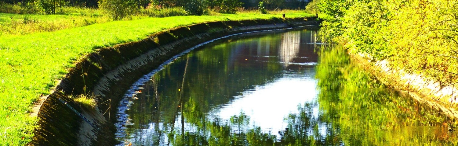 The Late Summer Green