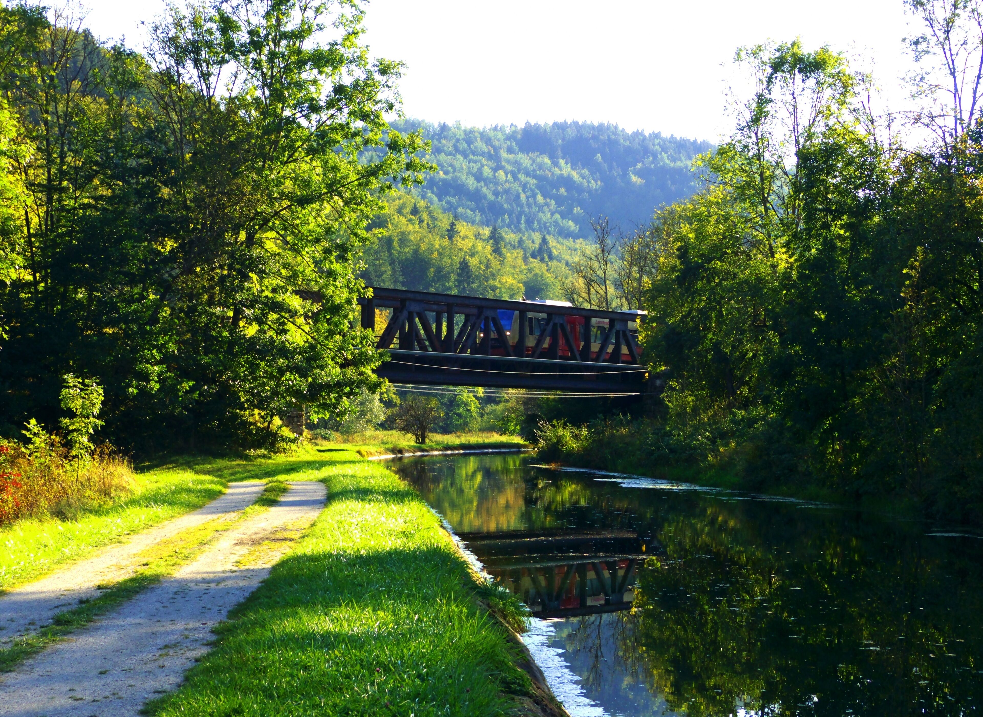A wooden bridge over a calm river, surrounded by lush greenery and trees.