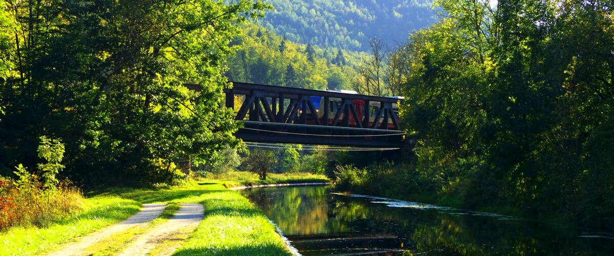 A wooden bridge over a calm river, surrounded by lush greenery and trees.
