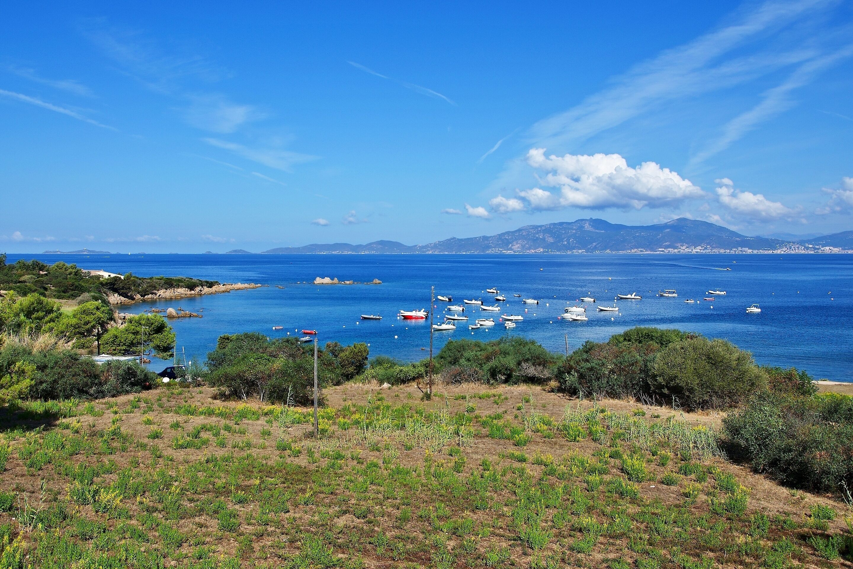 A coastal landscape with boats on the water, greenery, and distant mountains.