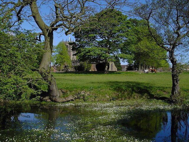 Shirland - Pond to south of Church Church is partially visible behind the trees.