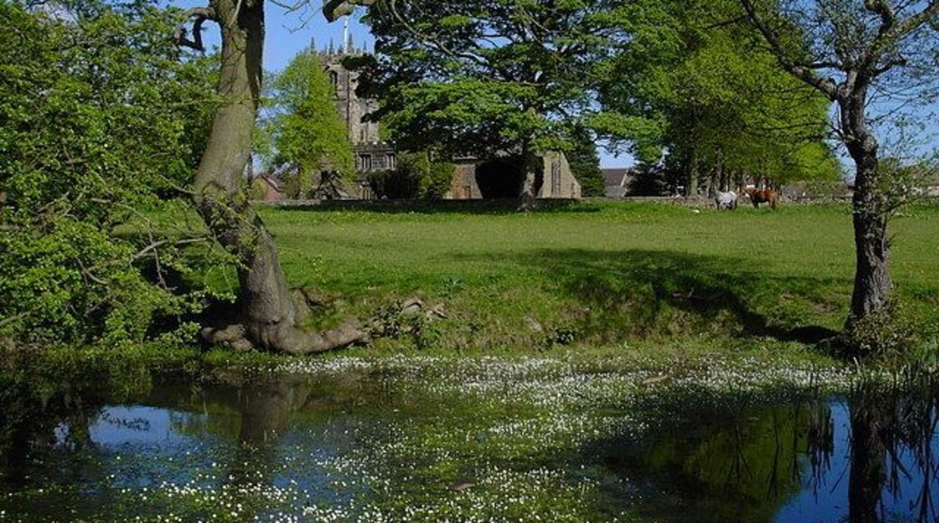 Shirland - Pond to south of Church Church is partially visible behind the trees.