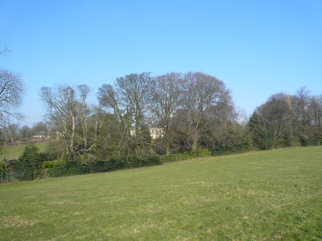 A grassy field with trees and a fence.