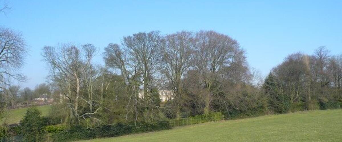 A grassy field with trees and a fence.