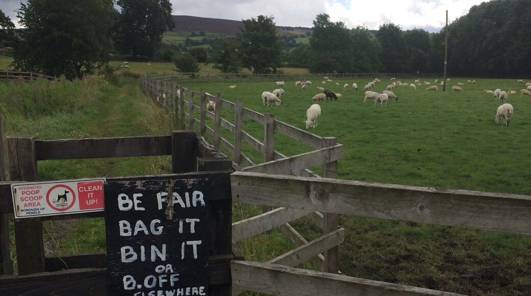 The Yorkshire folk will always tell you how it is. Walking through the fields on a cloudy day in Kelbrook.