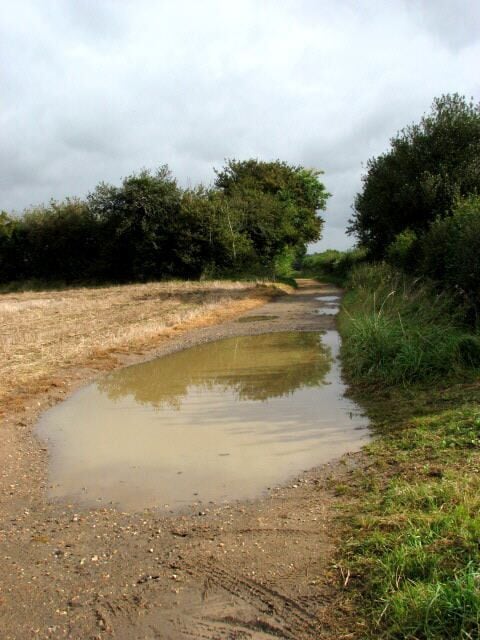 Track towards Reservoir Wood This track turns off the B1145 (Reepham Road) and ends a short distance before Reservoir Wood further to the east.