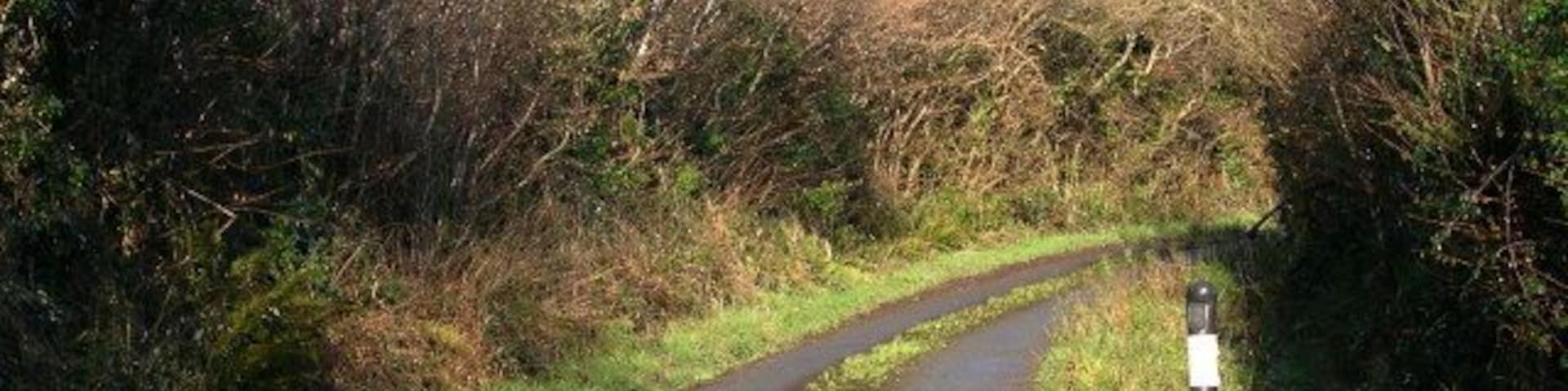 Treven Lane This lane snakes it's way from north to south across the grid square.