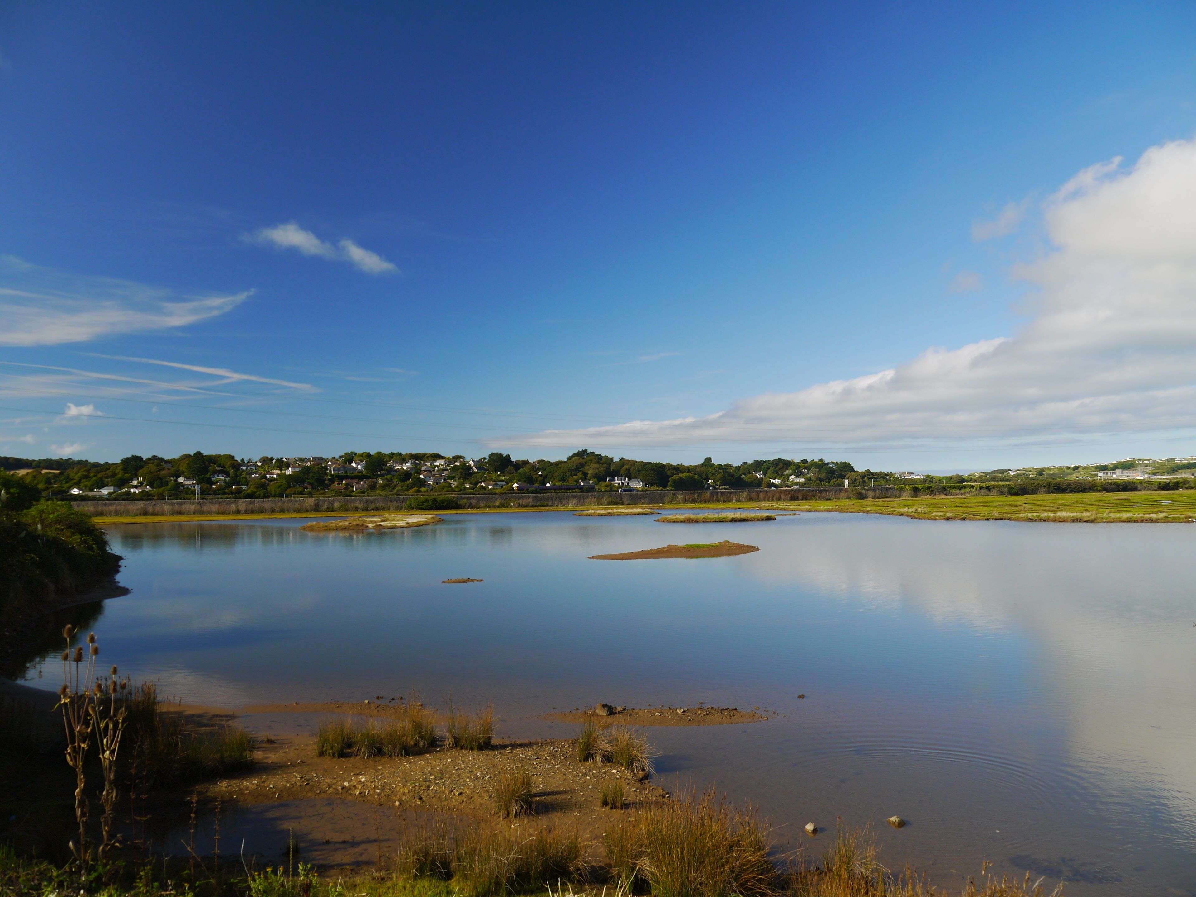 A calm lake with a clear sky, surrounded by greenery and houses in the distance.