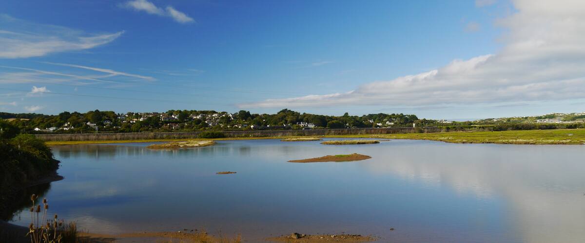 A calm lake with a clear sky, surrounded by greenery and houses in the distance.