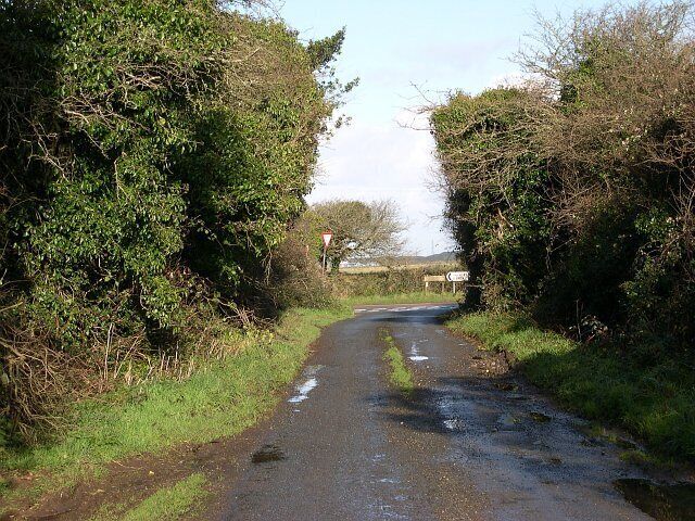 Jericho Lane. A short narrow country lane with some moss growing down the centre would normally expect to see very little traffic, yet while I walked down it I had to make way for two lorries and some cars. Taken along with evidence of the grass verge being chewed up as such vehicles attempt to pass one another, it looks like this lane has become something of a rat run.